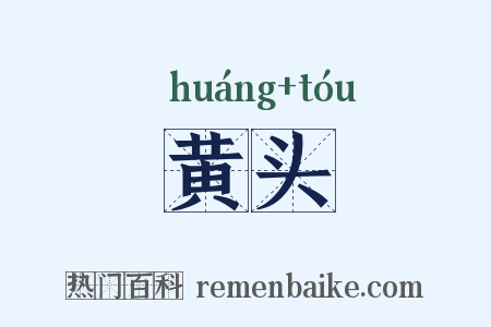 黄头是什么意思的图片